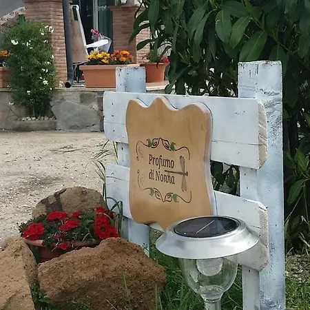 Profumo Di Nonna Bed & Breakfast Ciampino