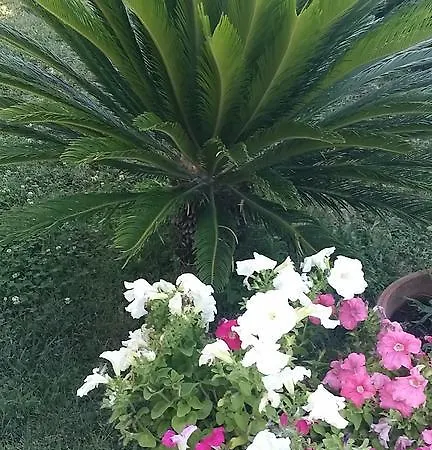 Profumo Di Nonna